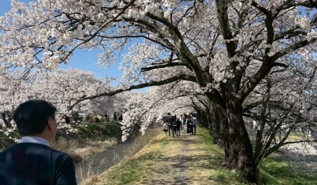 恒例のお花見開催〜!